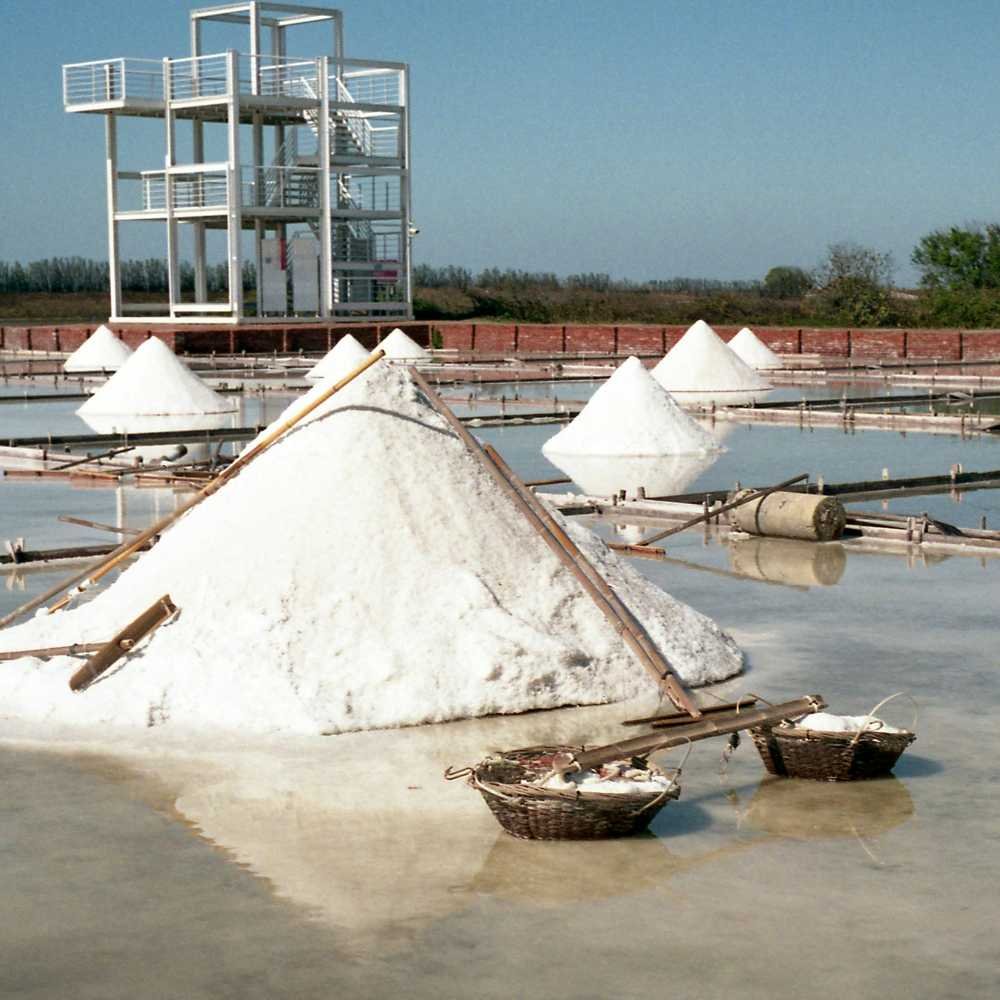 Export cargo prepared at a port terminal